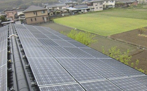 楽生