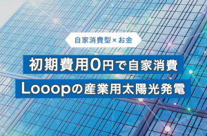 184_main-300x197.png 184_main-300x197.png