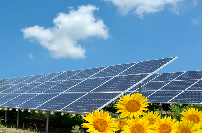 自家消費型の太陽光発電システム導入