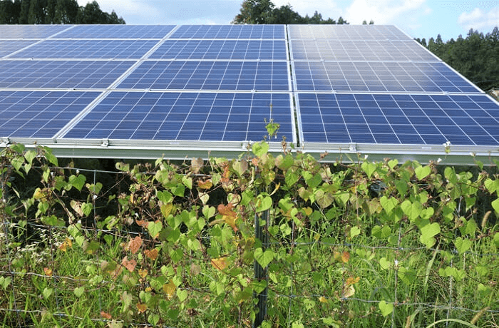 野立ての太陽光発電