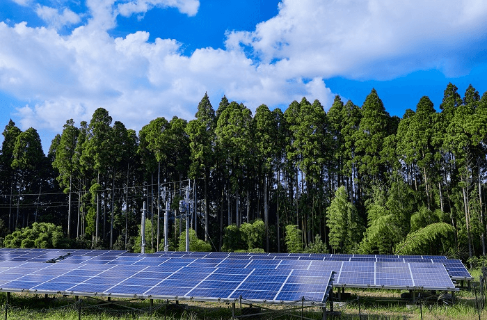 太陽光発電と電柱
