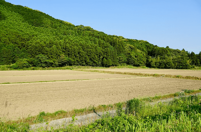 産業用太陽光発電の運用の土地