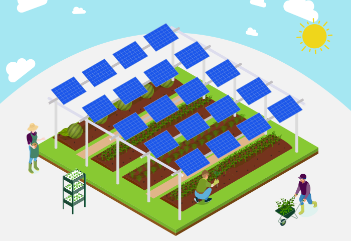 ソーラーシェアリング（営農型太陽光発電）とは